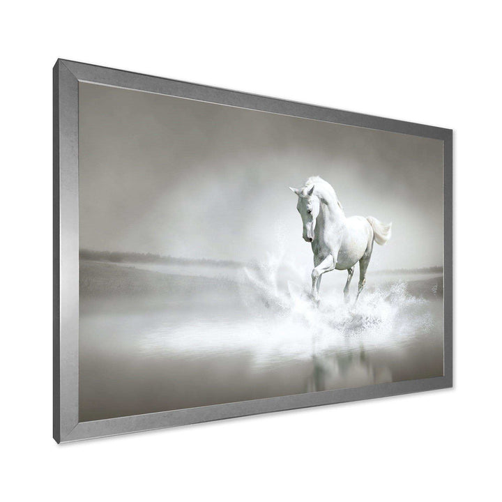 White Horse Running in Water
