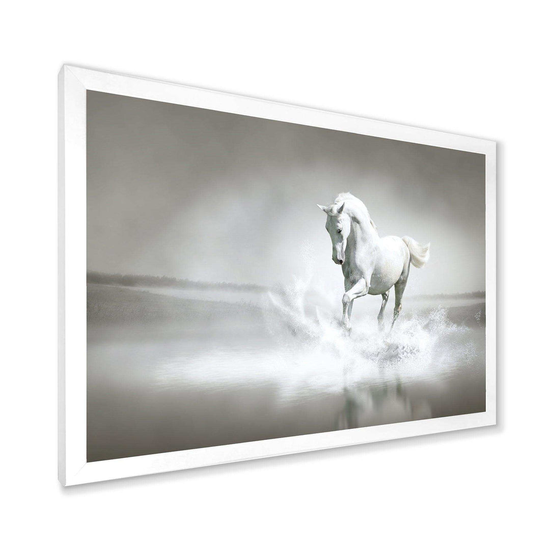 White Horse Running in Water