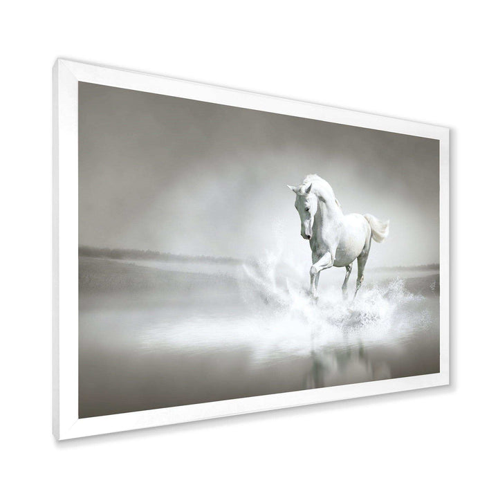 White Horse Running in Water