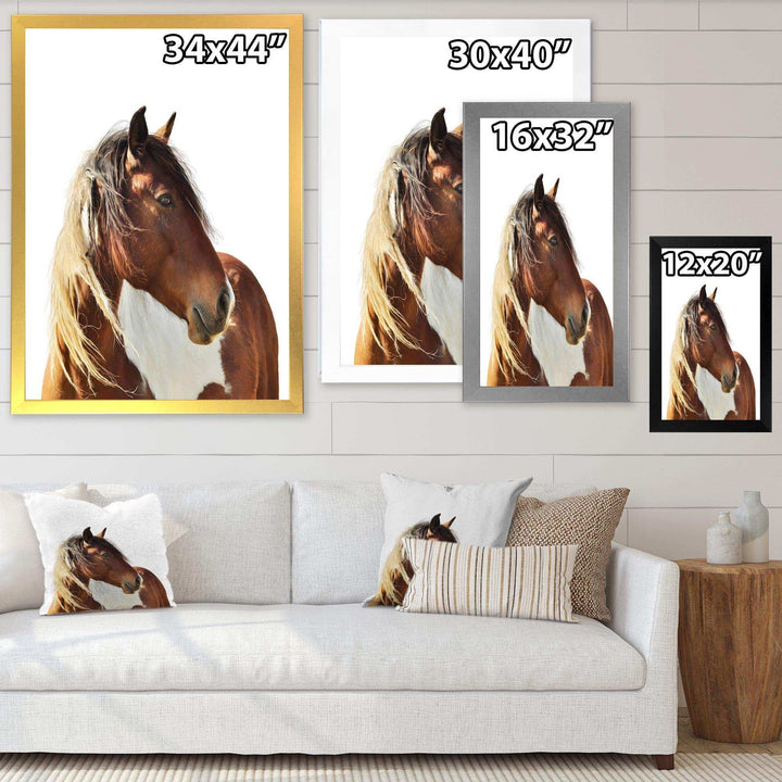 Large Brown Horse
