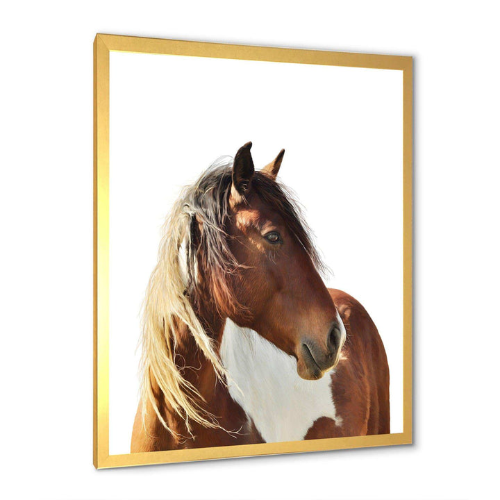 Large Brown Horse