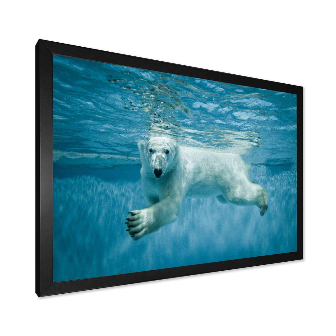 Polar Bear Swimming under Water