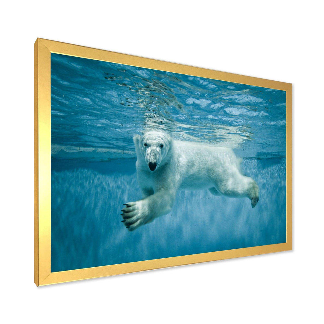 Polar Bear Swimming under Water