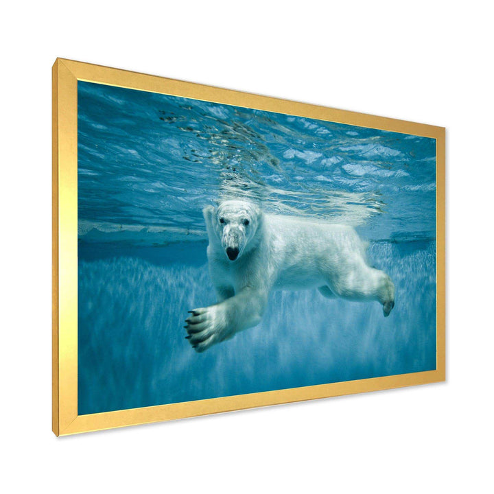 Polar Bear Swimming under Water