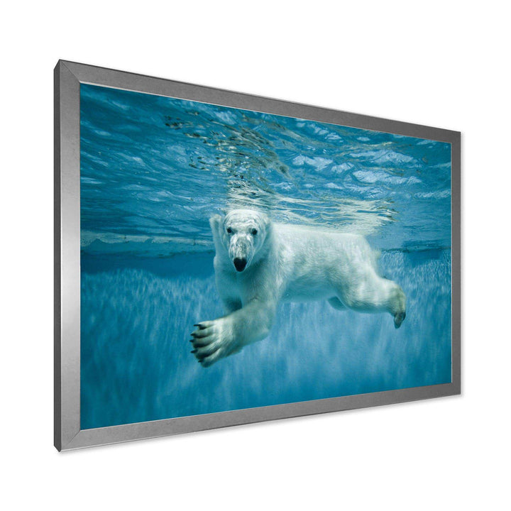 Polar Bear Swimming under Water