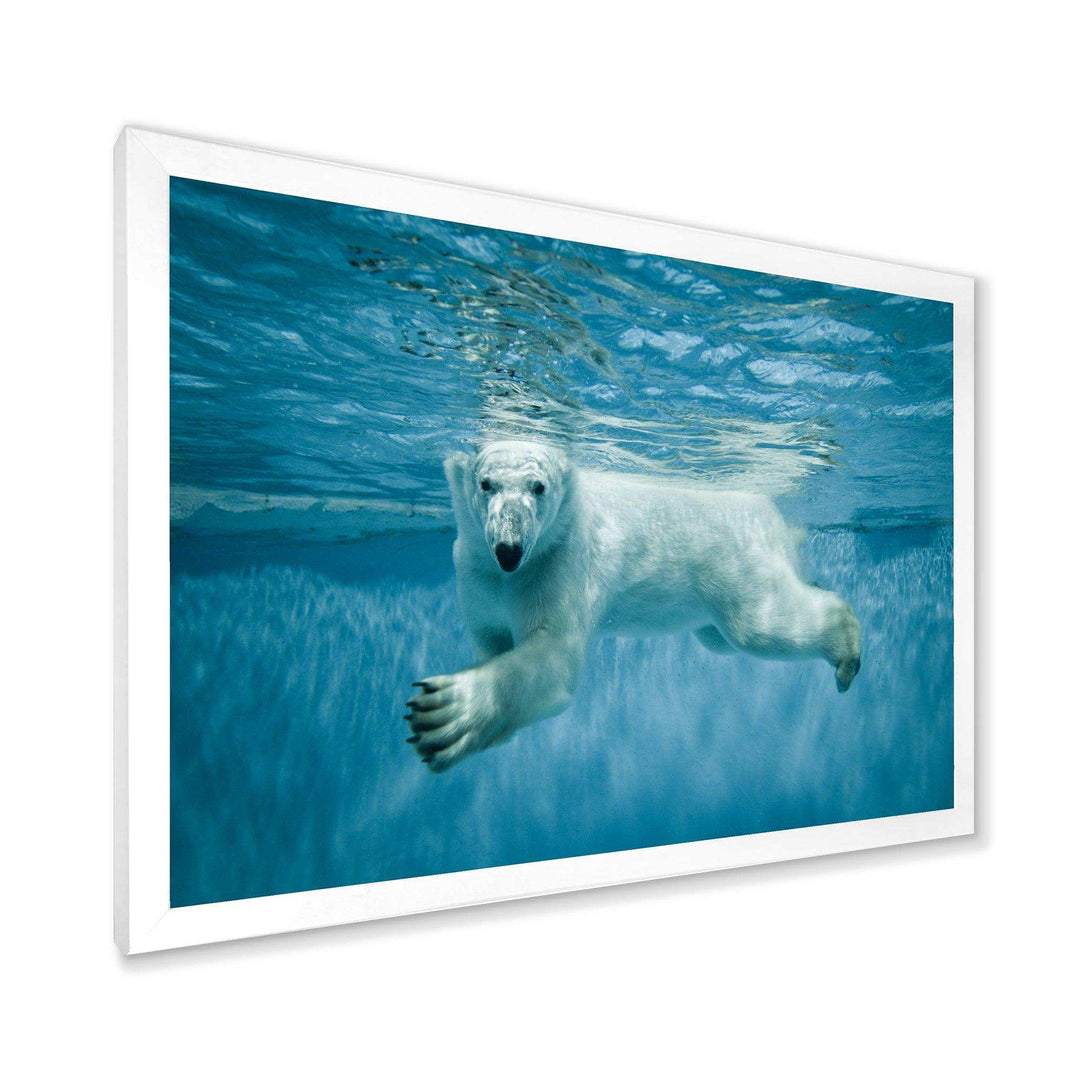 Polar Bear Swimming under Water