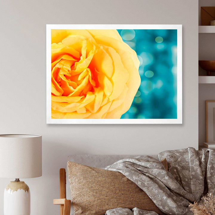 Rose Flower with Lit up Background