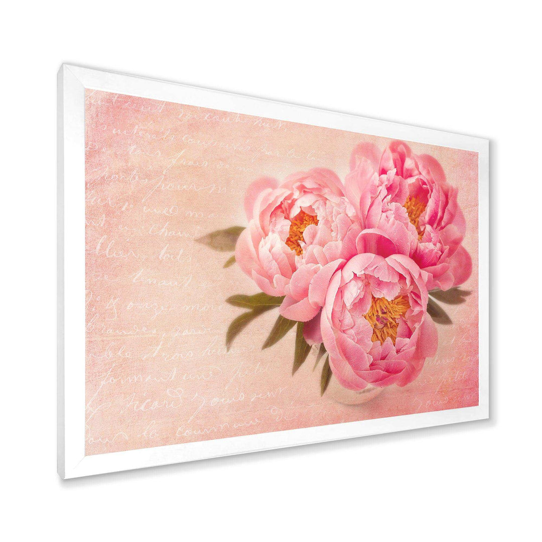 Peony Flowers against Scribbled Back