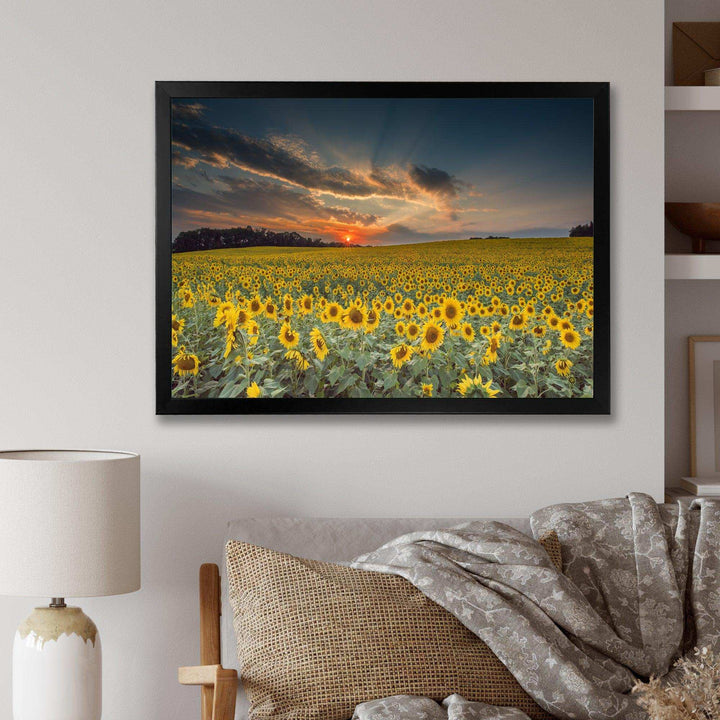 Sunflower Sunset with Cloudy Sky