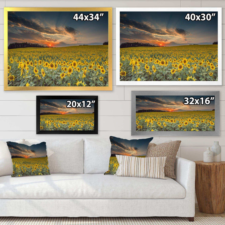 Sunflower Sunset with Cloudy Sky