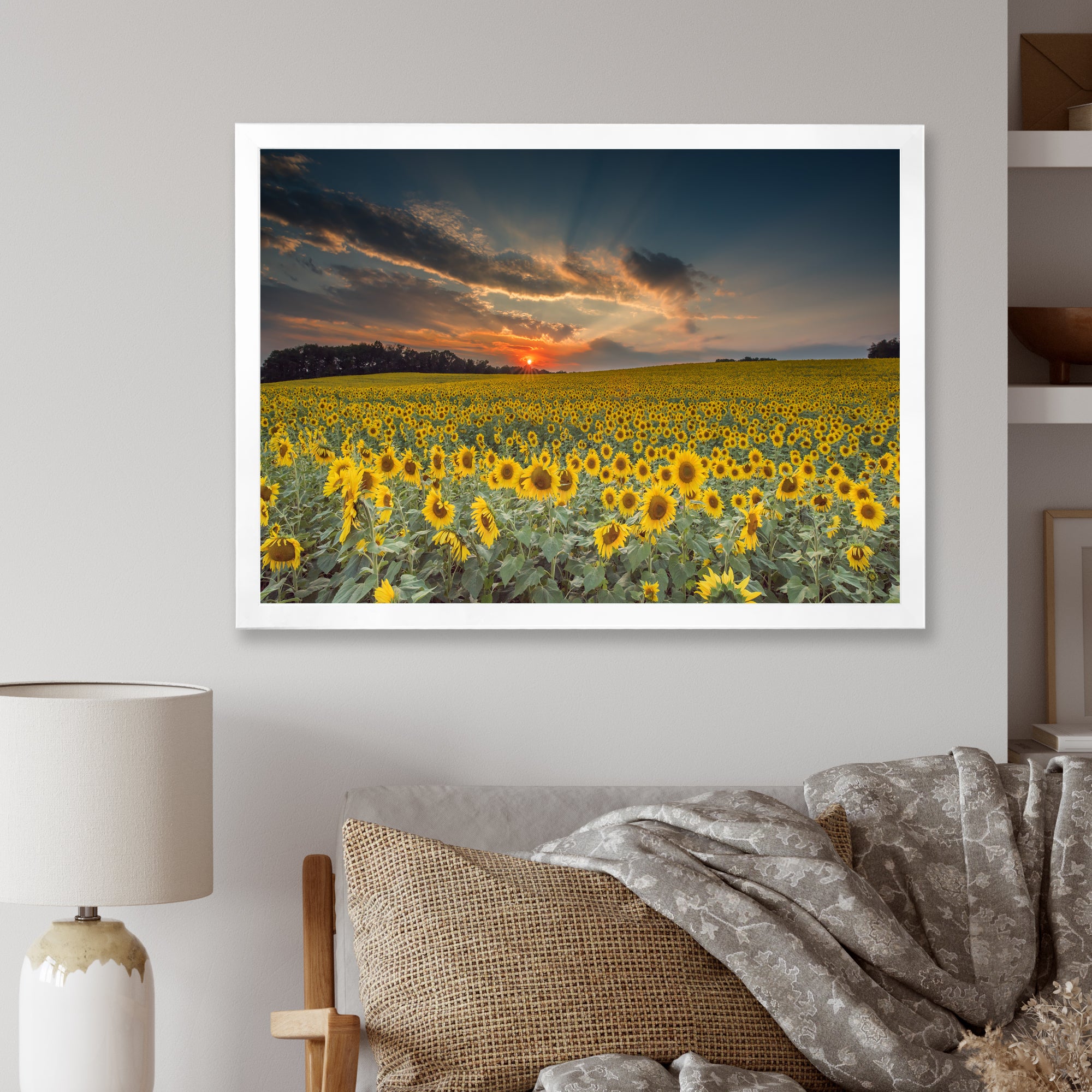 Sunflower Sunset with Cloudy Sky