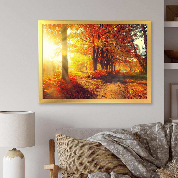 Autumnal Trees in Sunrays