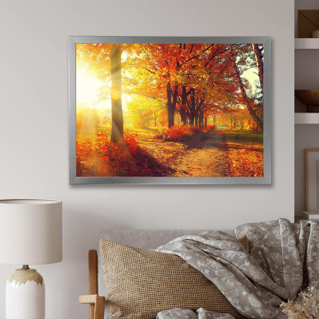 Autumnal Trees in Sunrays