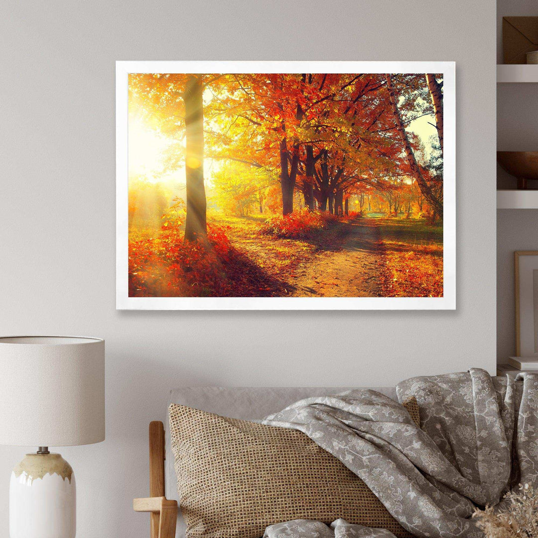 Autumnal Trees in Sunrays
