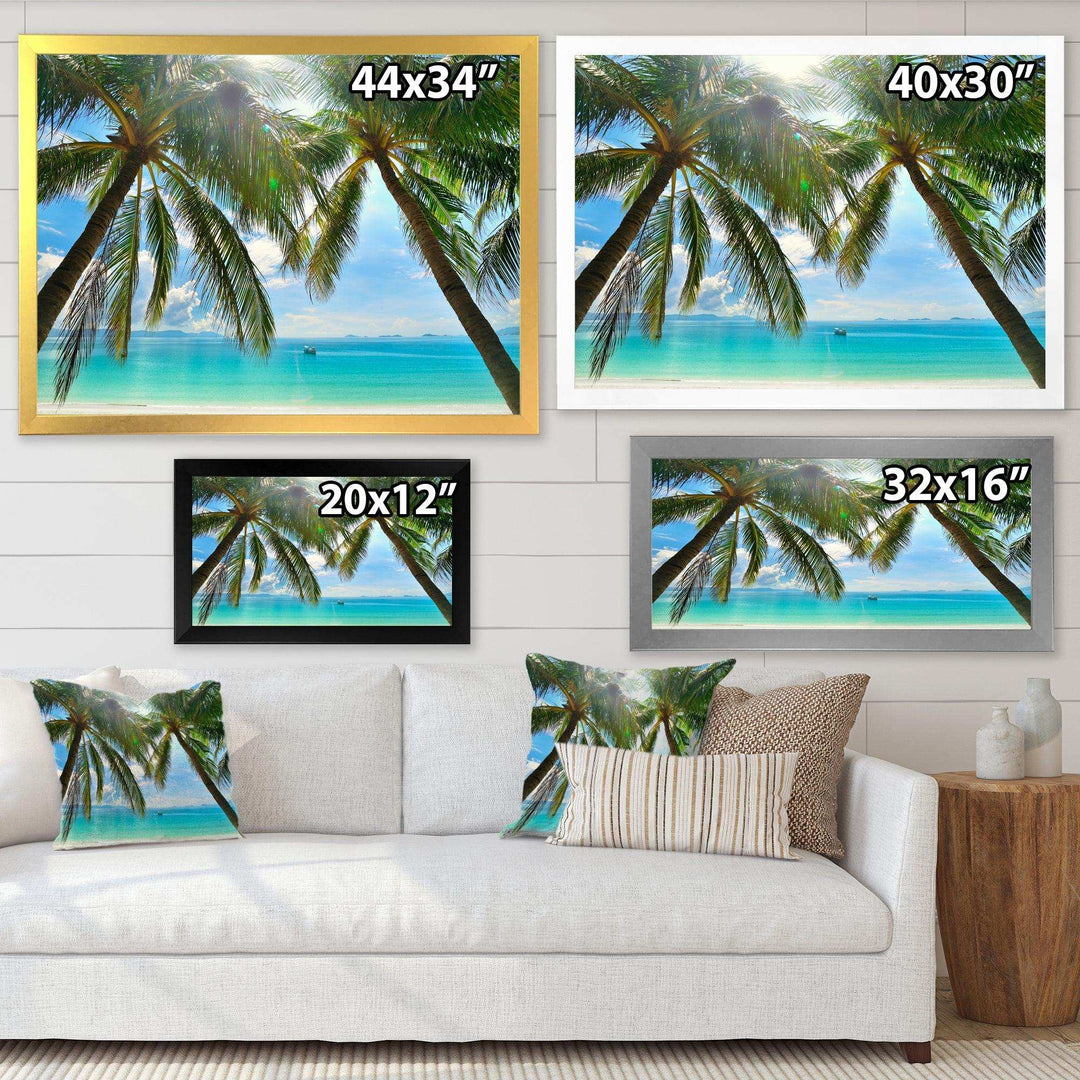Palm Hanging over Sandy White Beach