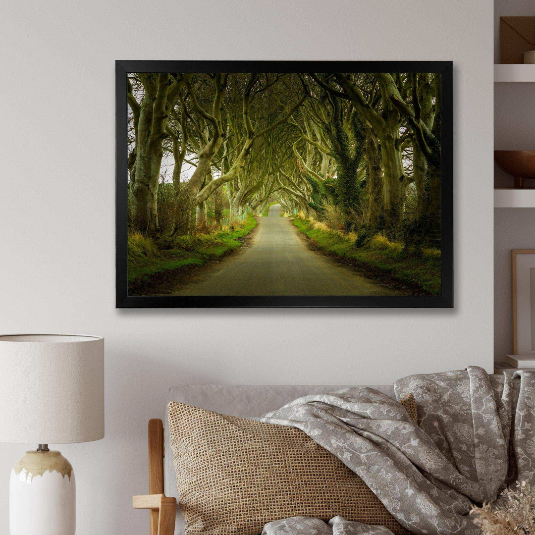 Dark Hedges Road through Old Trees