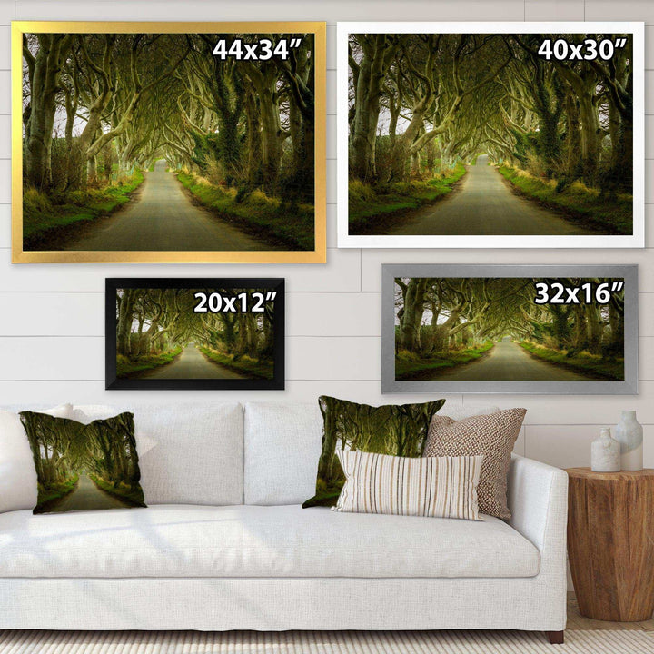 Dark Hedges Road through Old Trees