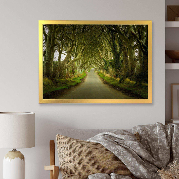 Dark Hedges Road through Old Trees