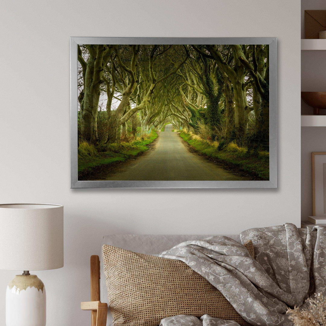 Dark Hedges Road through Old Trees