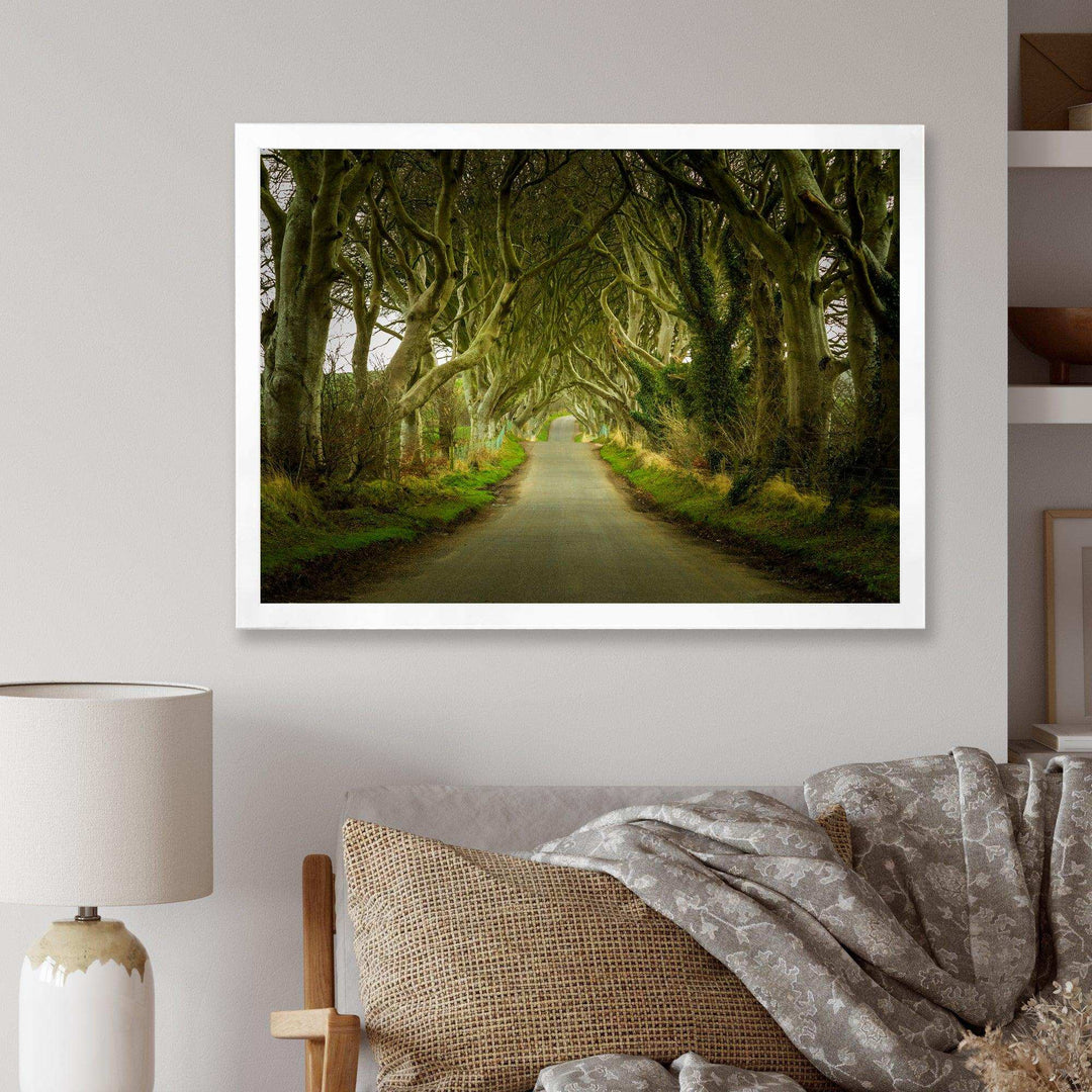 Dark Hedges Road through Old Trees