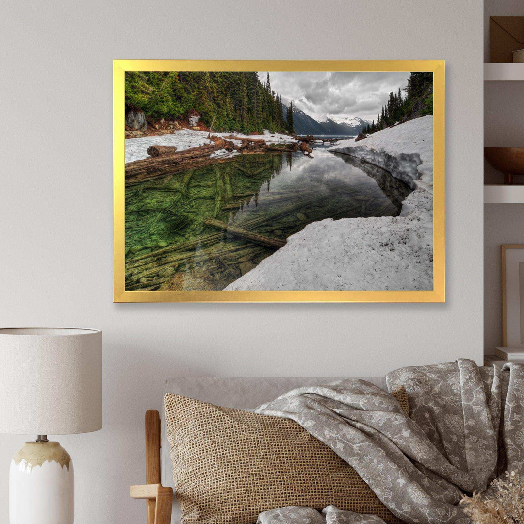 Crystal Clear Lake with Pine Trees