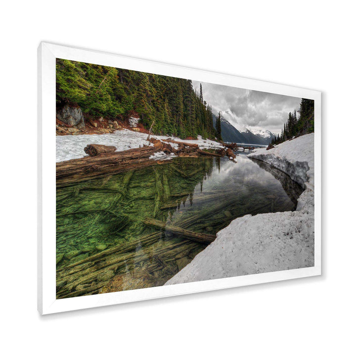 Crystal Clear Lake with Pine Trees