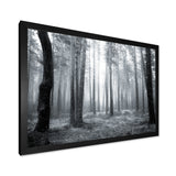 Black and White Foggy Forest