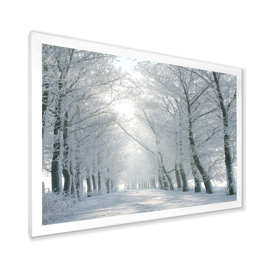 Winter Road Backlit my Morning Sun