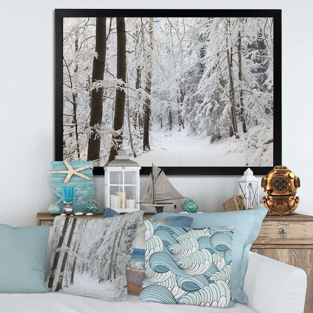 Dense Winter Forest and Lane