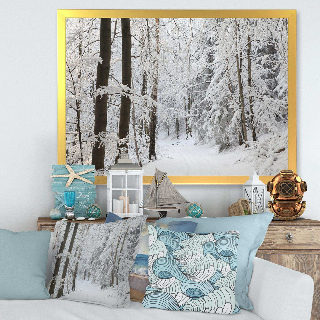 Dense Winter Forest and Lane