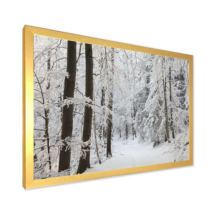 Dense Winter Forest and Lane