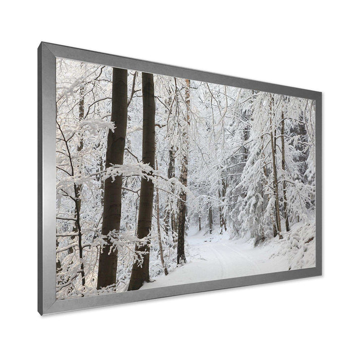 Dense Winter Forest and Lane