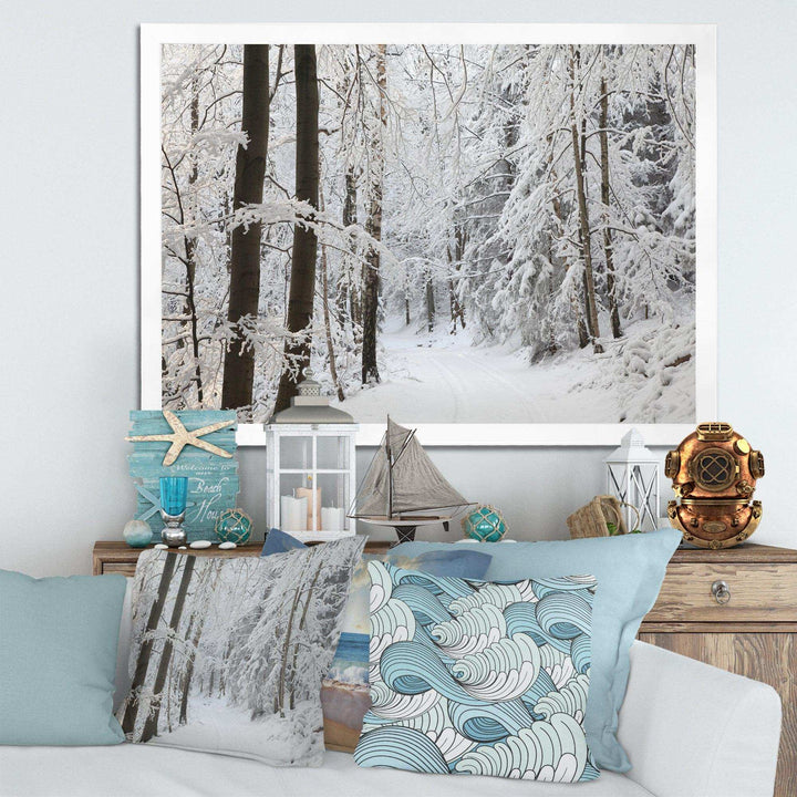 Dense Winter Forest and Lane