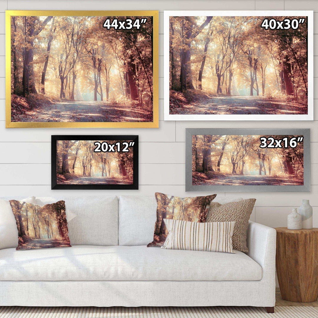 Golden Autumn Beautiful Forest