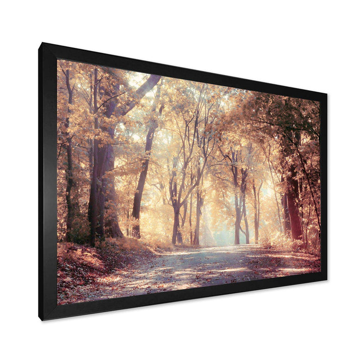 Golden Autumn Beautiful Forest