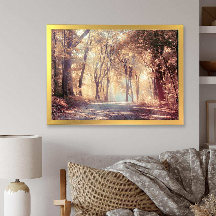Golden Autumn Beautiful Forest