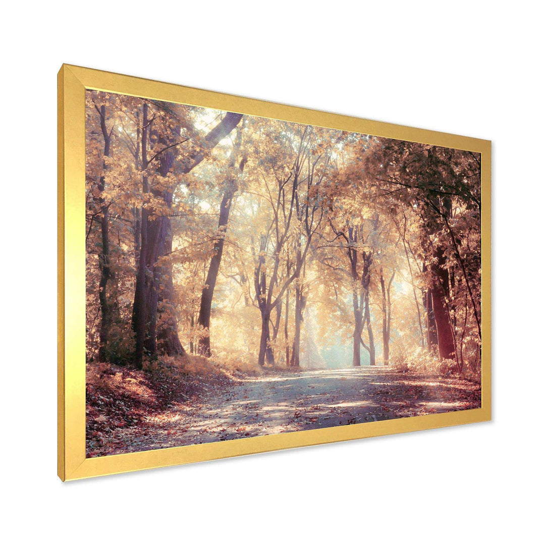 Golden Autumn Beautiful Forest