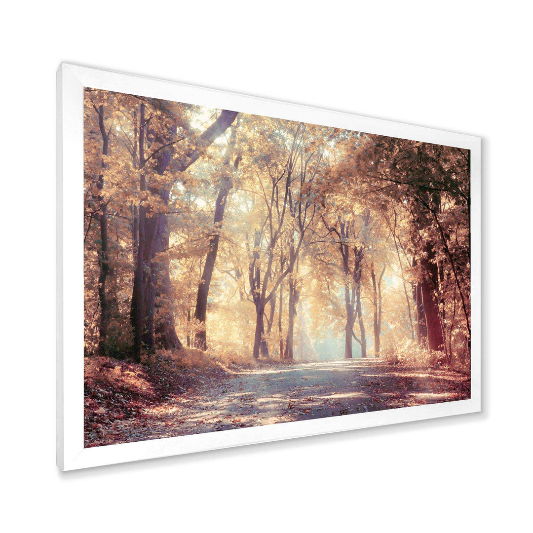 Golden Autumn Beautiful Forest