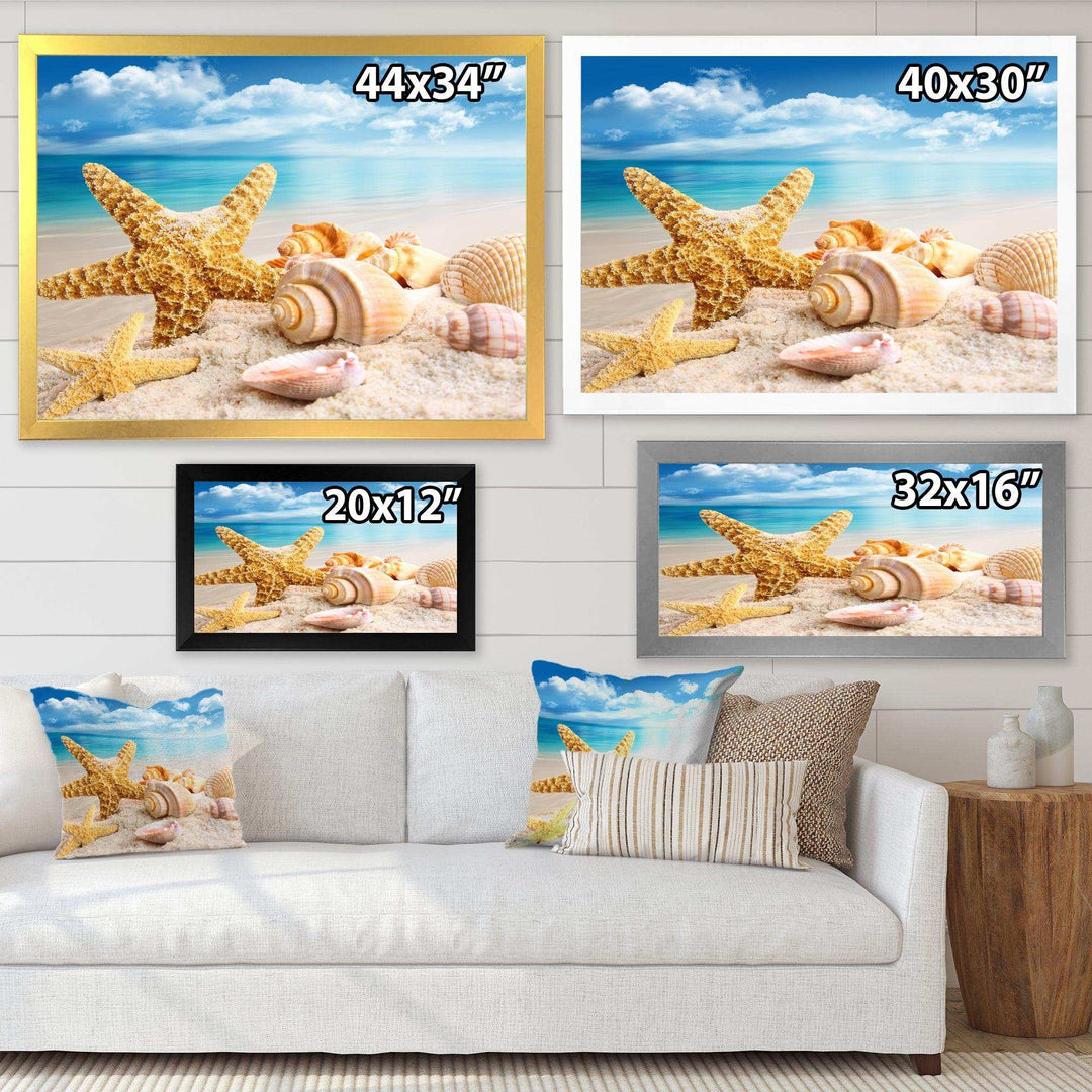 Starfish and Seashells on Beach