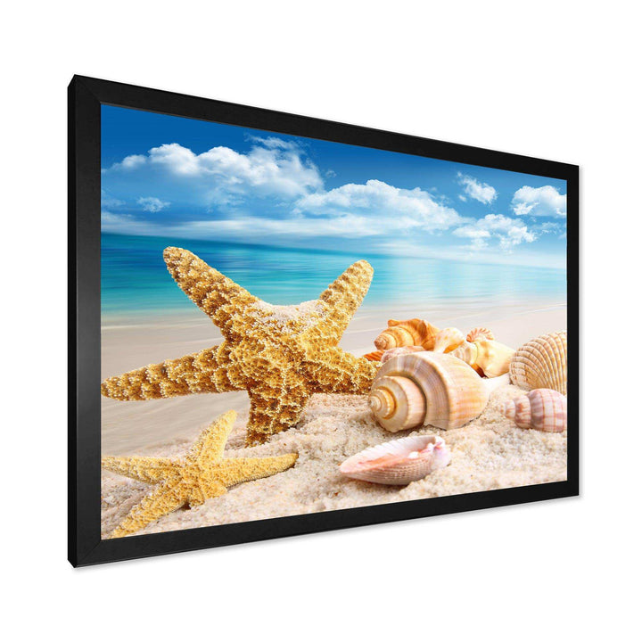 Starfish and Seashells on Beach