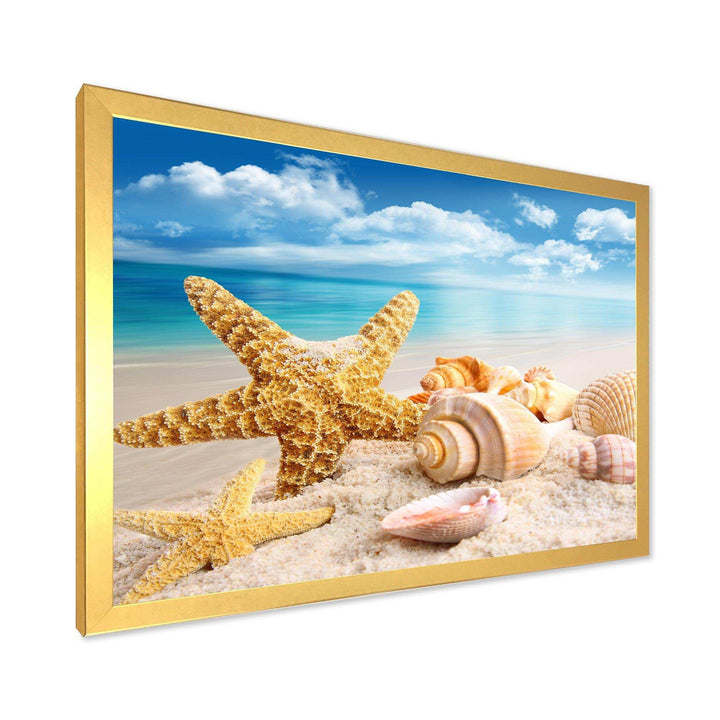 Starfish and Seashells on Beach