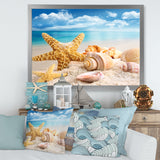 Starfish and Seashells on Beach