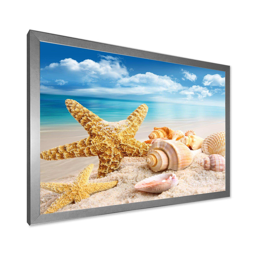 Starfish and Seashells on Beach