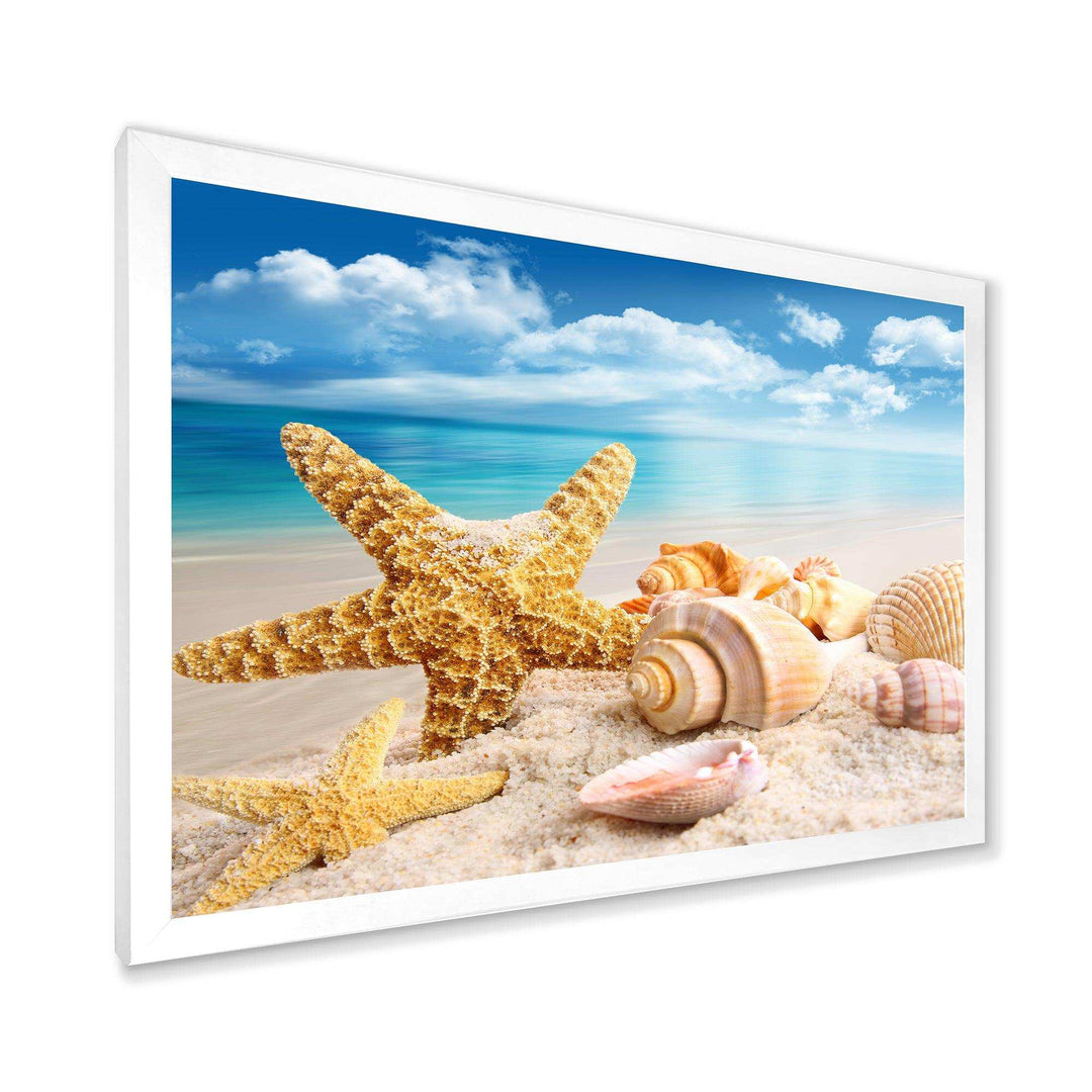 Starfish and Seashells on Beach