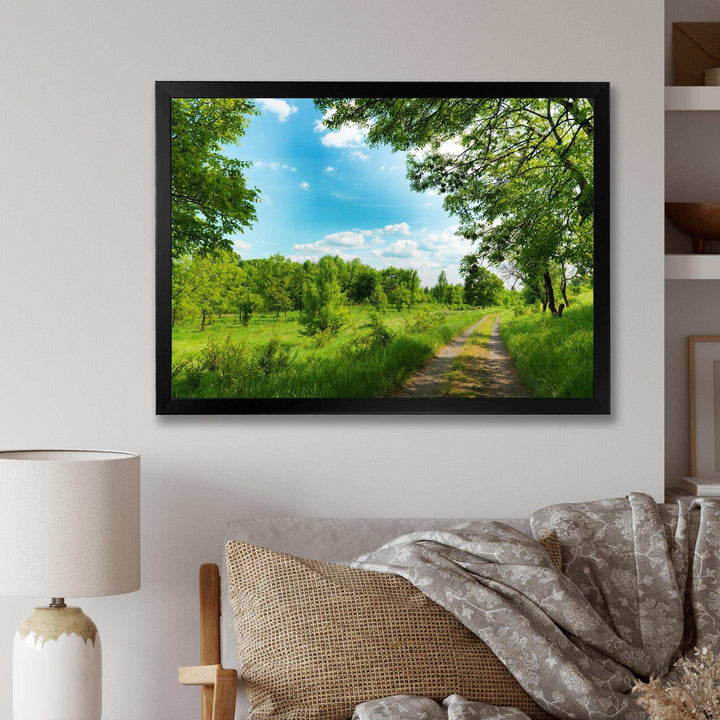Green Forest Road and Blue Sky