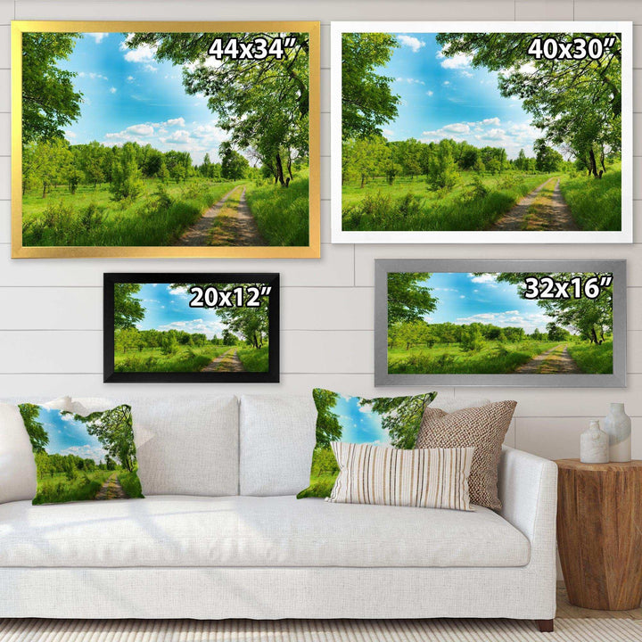 Green Forest Road and Blue Sky