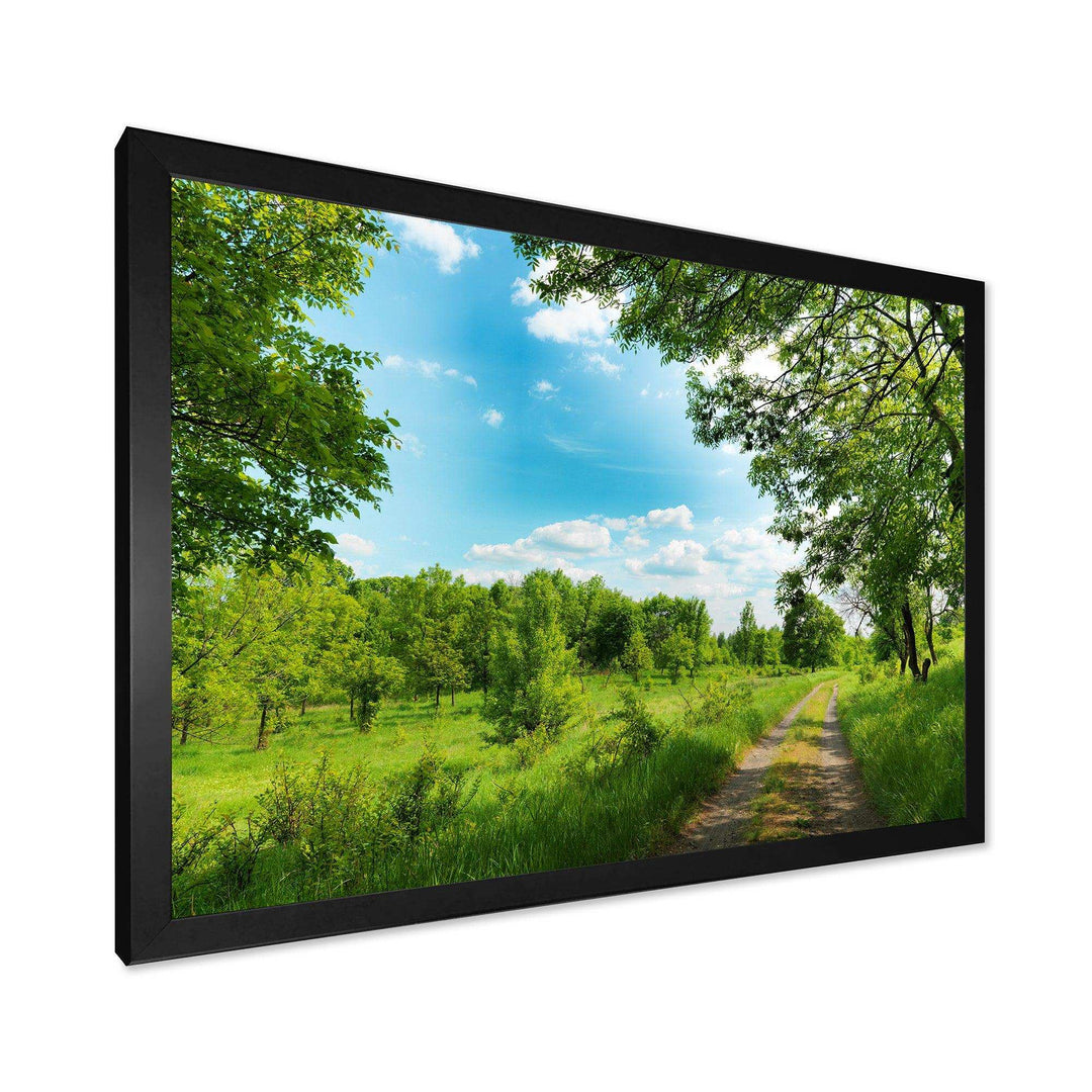 Green Forest Road and Blue Sky