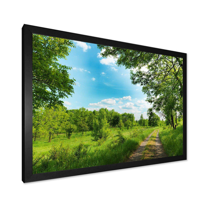 Green Forest Road and Blue Sky