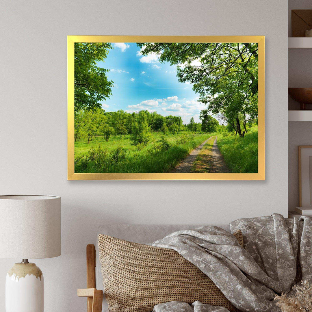 Green Forest Road and Blue Sky