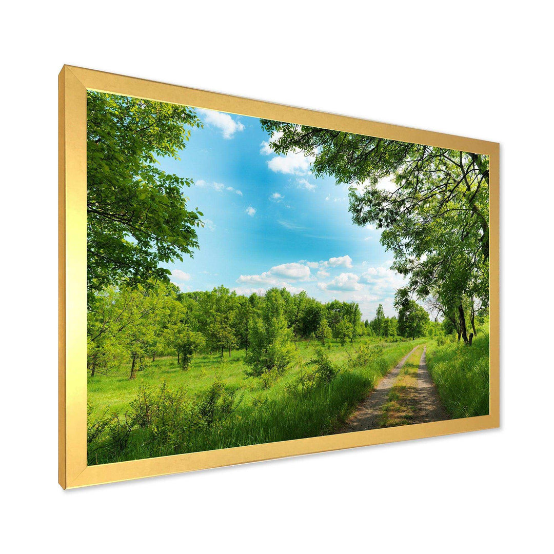 Green Forest Road and Blue Sky